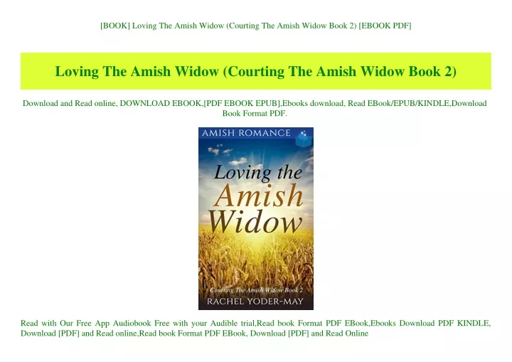 book loving the amish widow courting the amish