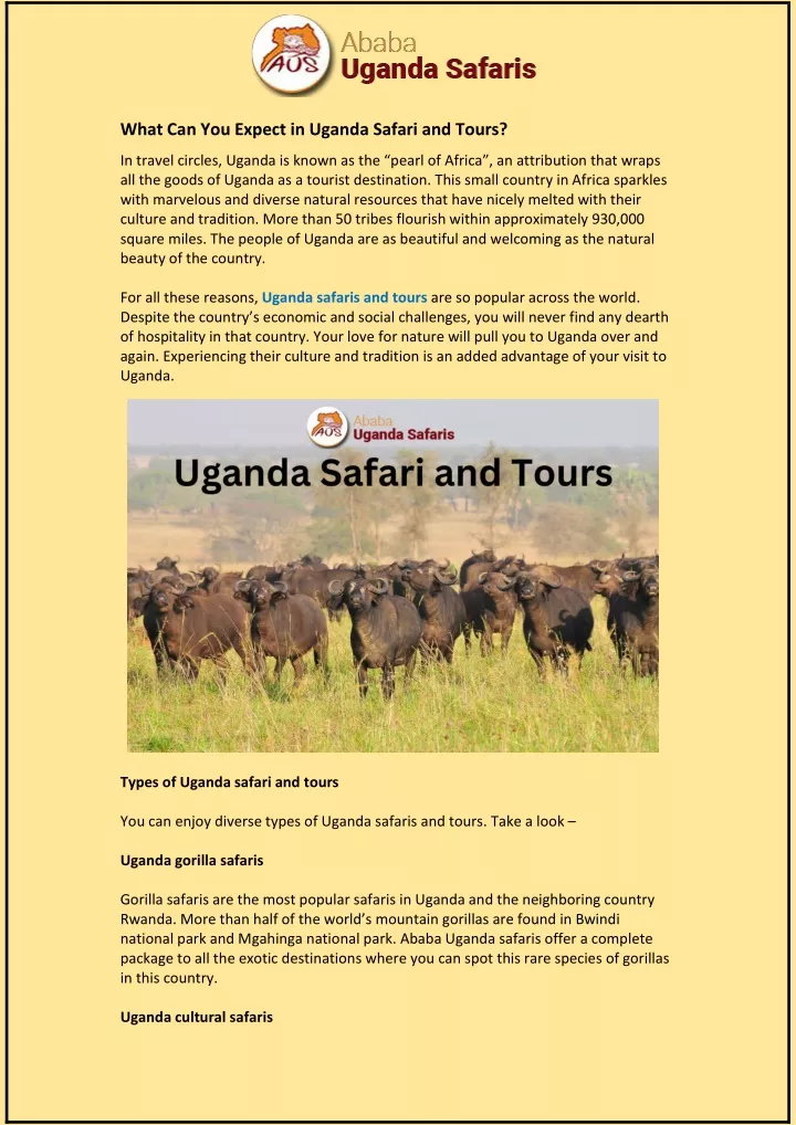 what can you expect in uganda safari and tours