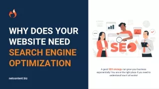 why does your website need search engine