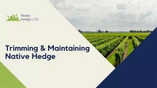 ready hedge ltd