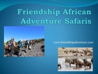 Guided Safari Tours Tanzania