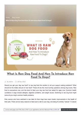 What Is Raw Dog Food And How To Introduce Raw Food To Dog