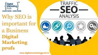 Why SEO is important for a Business | Digital Marketing profs