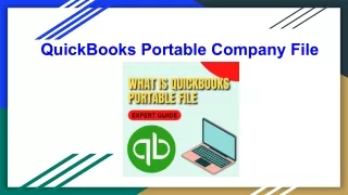 What is QuickBooks Portable Company File?