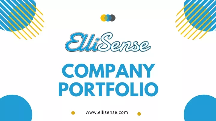 company portfolio