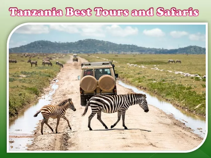 tanzania best tours and safaris