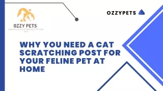 Why You Need a Cat Scratching Post For Your Feline Pet At Home