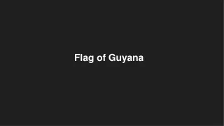 flag of guyana