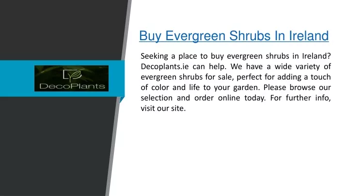 buy evergreen shrubs in ireland