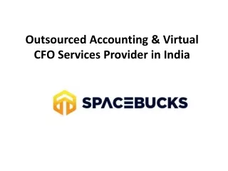 Outsourced Accounting & Virtual CFO Services Provider in India