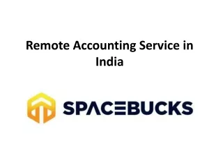 Remote Accounting Service in India