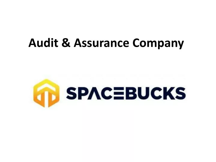 audit assurance company