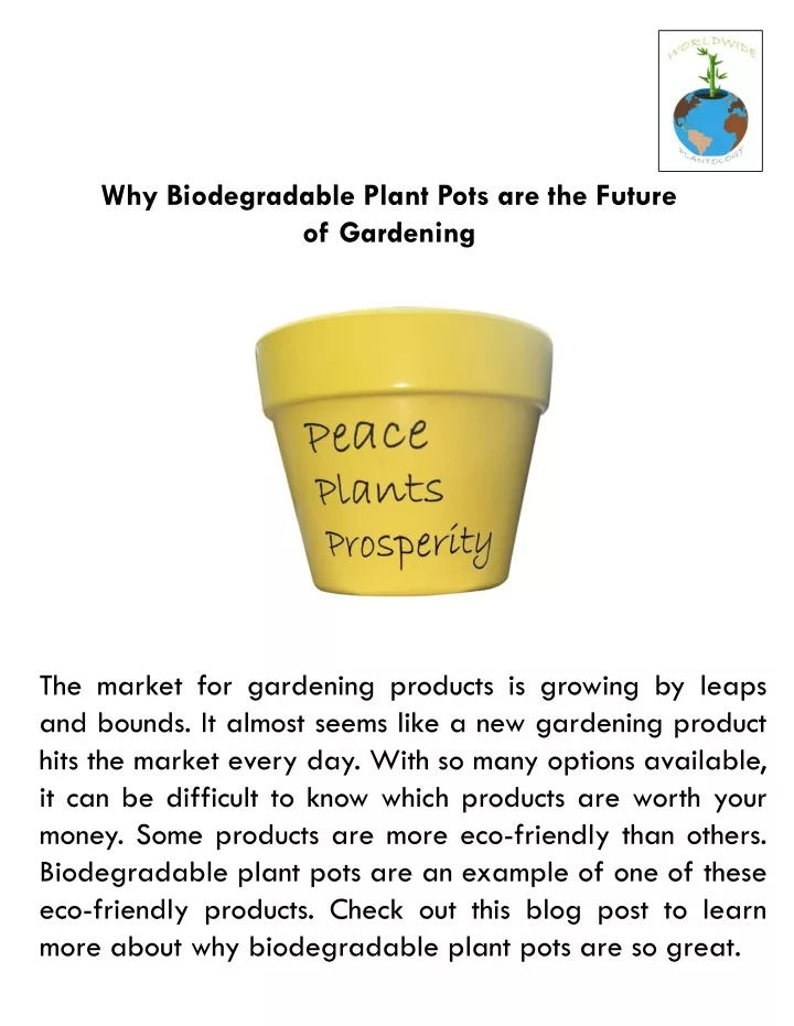 why biodegradable plant pots are the future