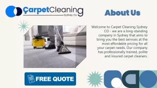 Carpet Cleaning Sydney Co