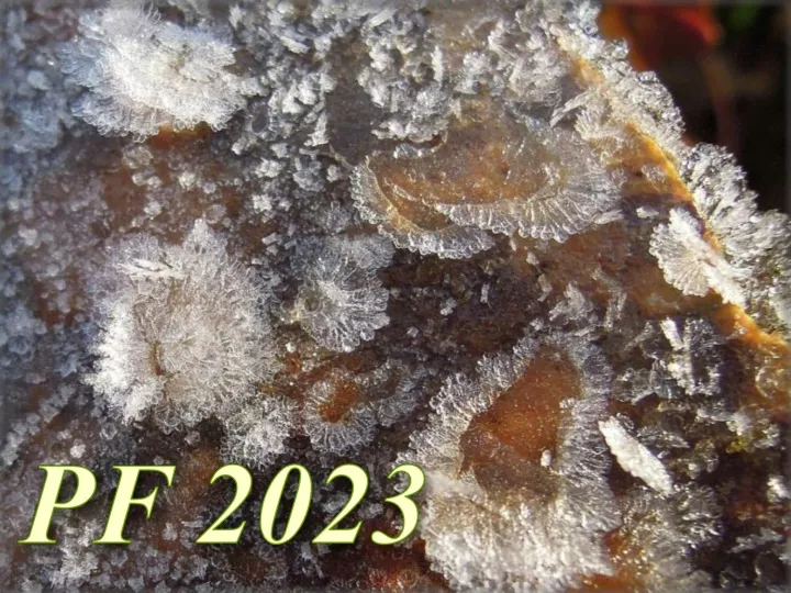 pf 2023