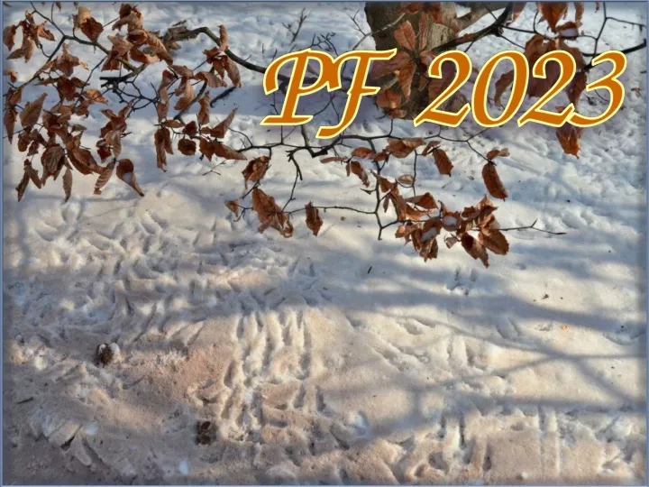 pf 2023