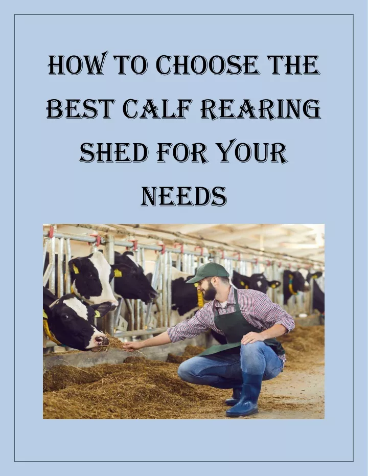 how to choose the best calf rearing shed for your