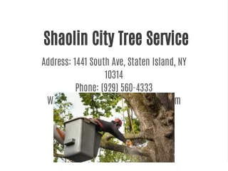 Shaolin City Tree Service