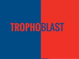 blast
