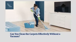 Can You Clean the Carpets Effectively Without a Vacuum?