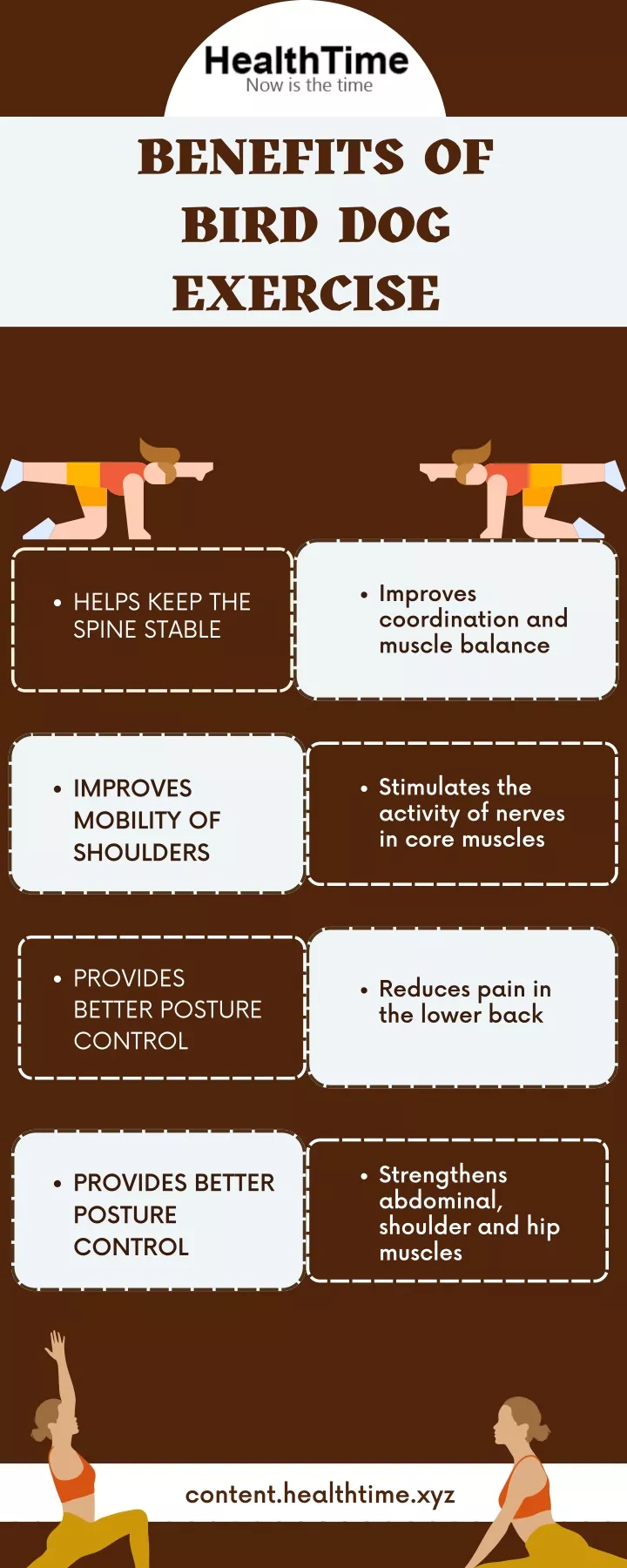 benefits of bird dog exercise