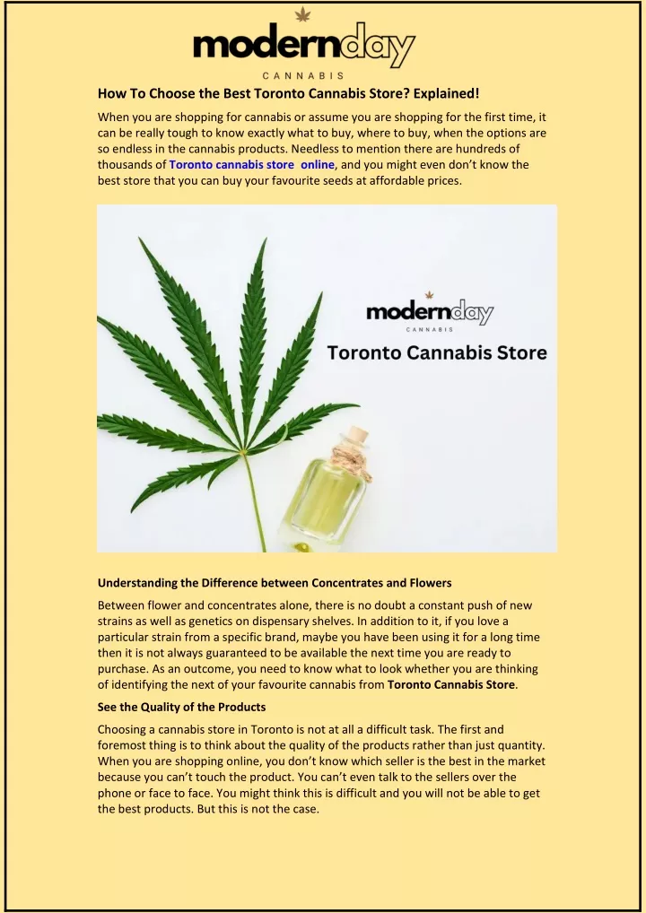 how to choose the best toronto cannabis store