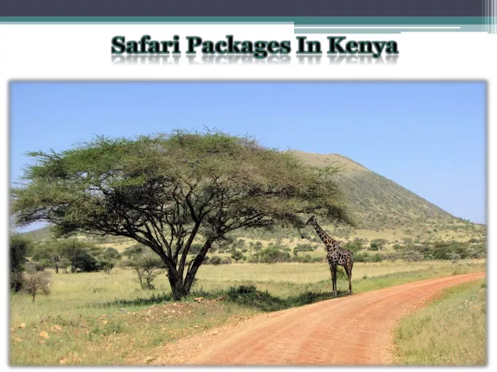 safari packages in kenya