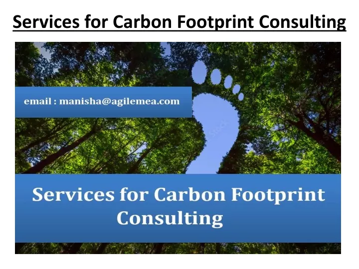 services for carbon footprint consulting