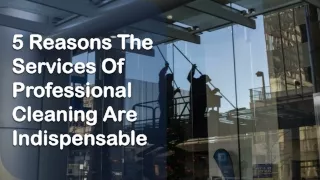 5 Reasons The Services Of Professional Cleaning Are Indispensable