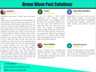 Green Wave Pest Solution | Pest Control Las Vegas