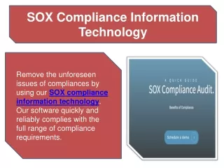 sox compliance information technology
