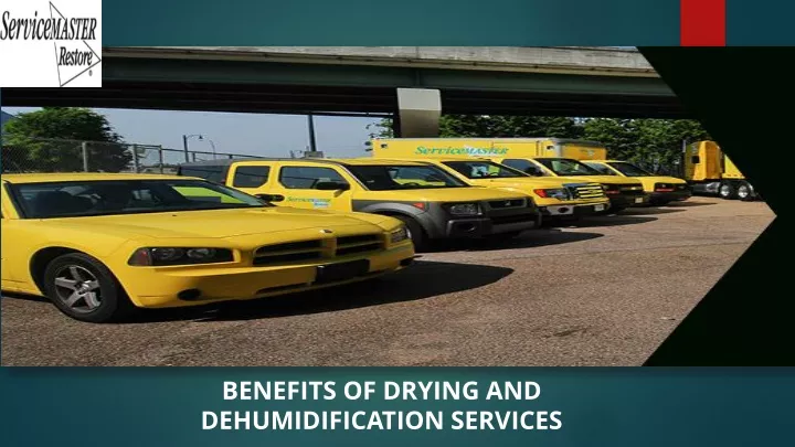 benefits of drying and dehumidification services