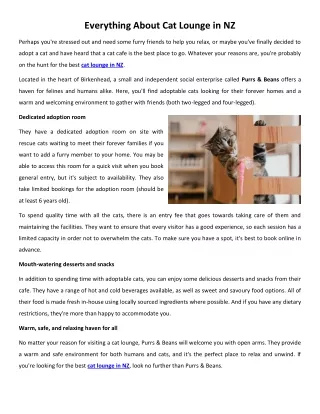 everything about cat lounge in nz