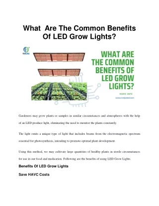 What Are The Common Benefits Of LED Grow Lights?