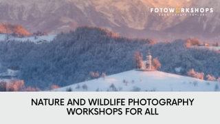 Nature and Wildlife Photography Workshops for All