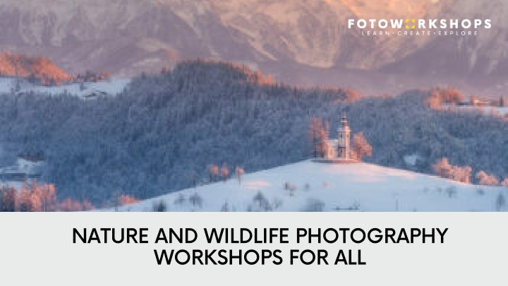 nature and wildlife photography workshops for all