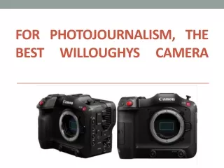 For Photojournalism, The Best Willoughys Camera