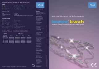 All About Biomime Branch - A Drug Eluting Stent Designed by Meril Life