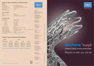 Find Biomime Morph - A Drug Eluting Stent Designed by Meril Life