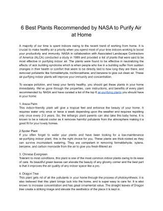 6 Best Plants Recommended by NASA to Purify Air at Home