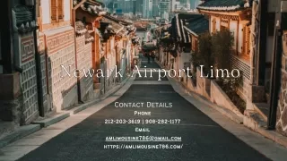 contact details phone 212 203 3619 908 282 1177