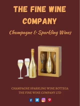 Champagne Sparkling Wine Bottega – The Fine Wine Company Ltd