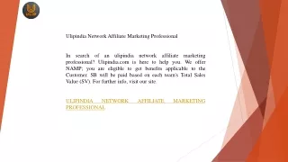 Ulipindia Network Affiliate Marketing Professional  Ulipindia.com