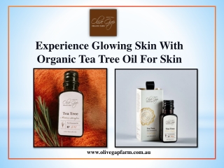 Experience Glowing Skin With organic tea tree oil for skin
