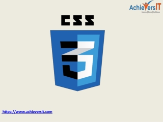 https www achieversit com