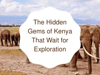 The Hidden Gems of Kenya That Wait for Exploration