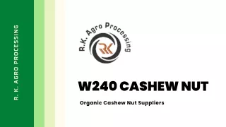 Find Out More About W240 Cashew Nut