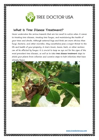 what is tree disease treatment never undervalue