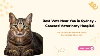 Best Vets Near You in Sydney -  Concord Veterinary Hospital