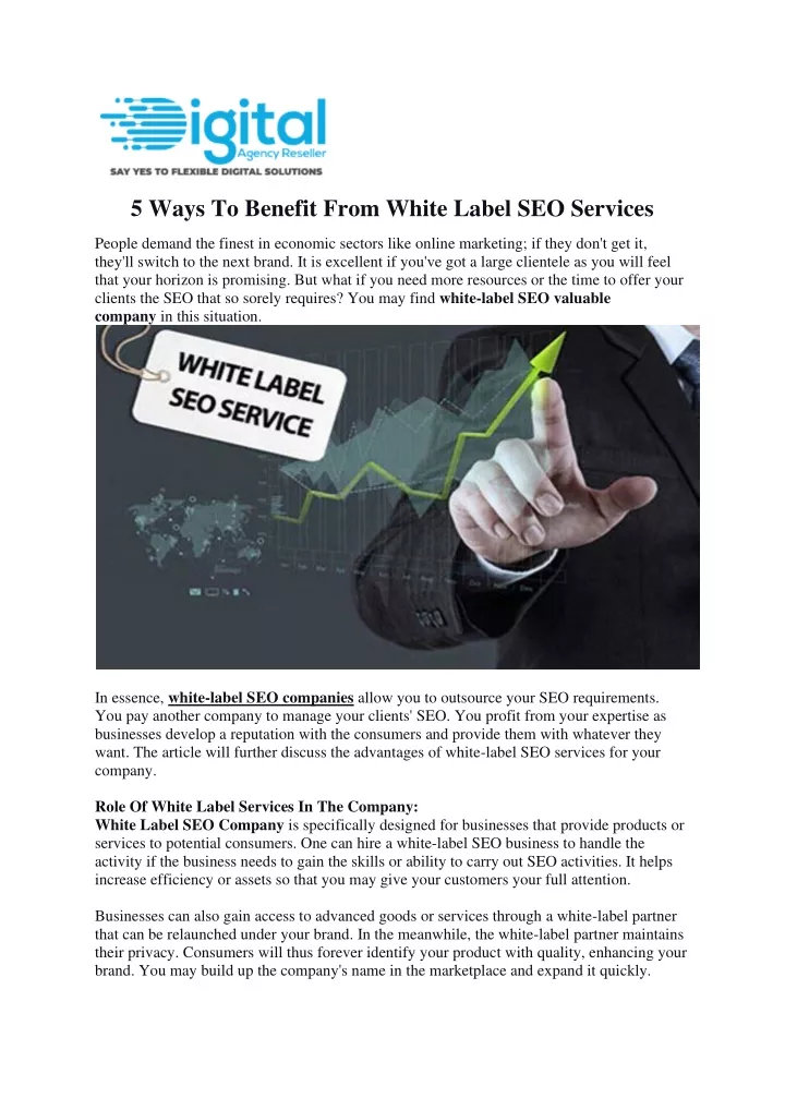 5 ways to benefit from white label seo services